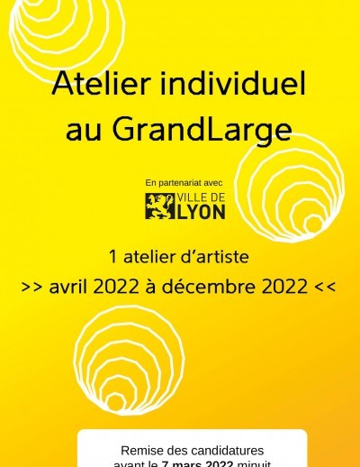 site_internet_appel_a_candidature_ville_de_lyon_1_.jpg