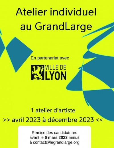 appel_a_candidature_ville_de_lyon.jpg