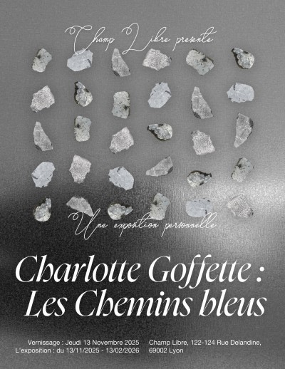 variation_6affiche_cheminsbleus_goffette.jpg