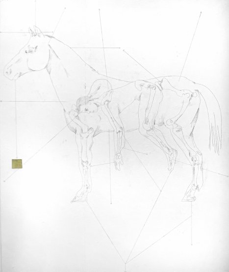 cheval_copie.jpg