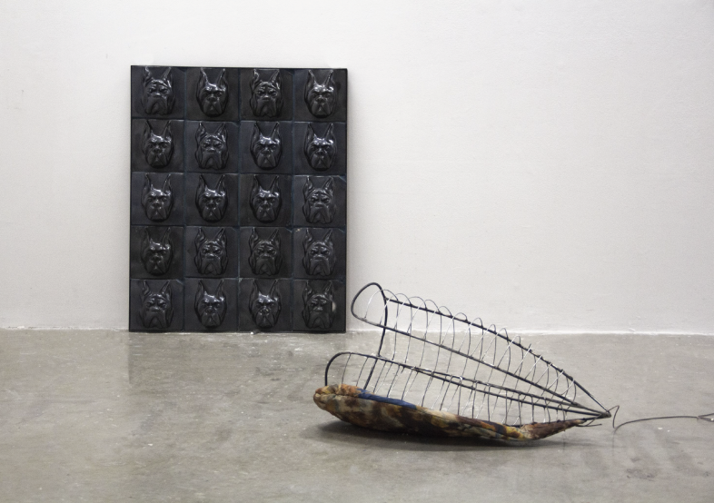 la cage thoracique, chiens de garde