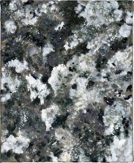 Lichen