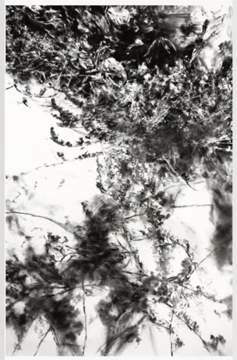 capture_d_ecran_2025_07_21_a_15.52.39.png