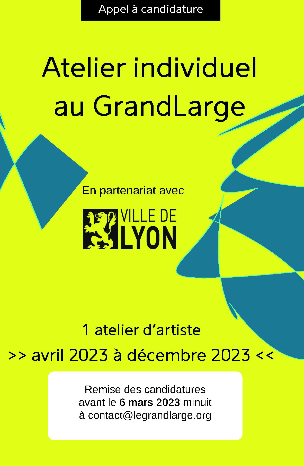 appel_a_candidature_ville_de_lyon.jpg