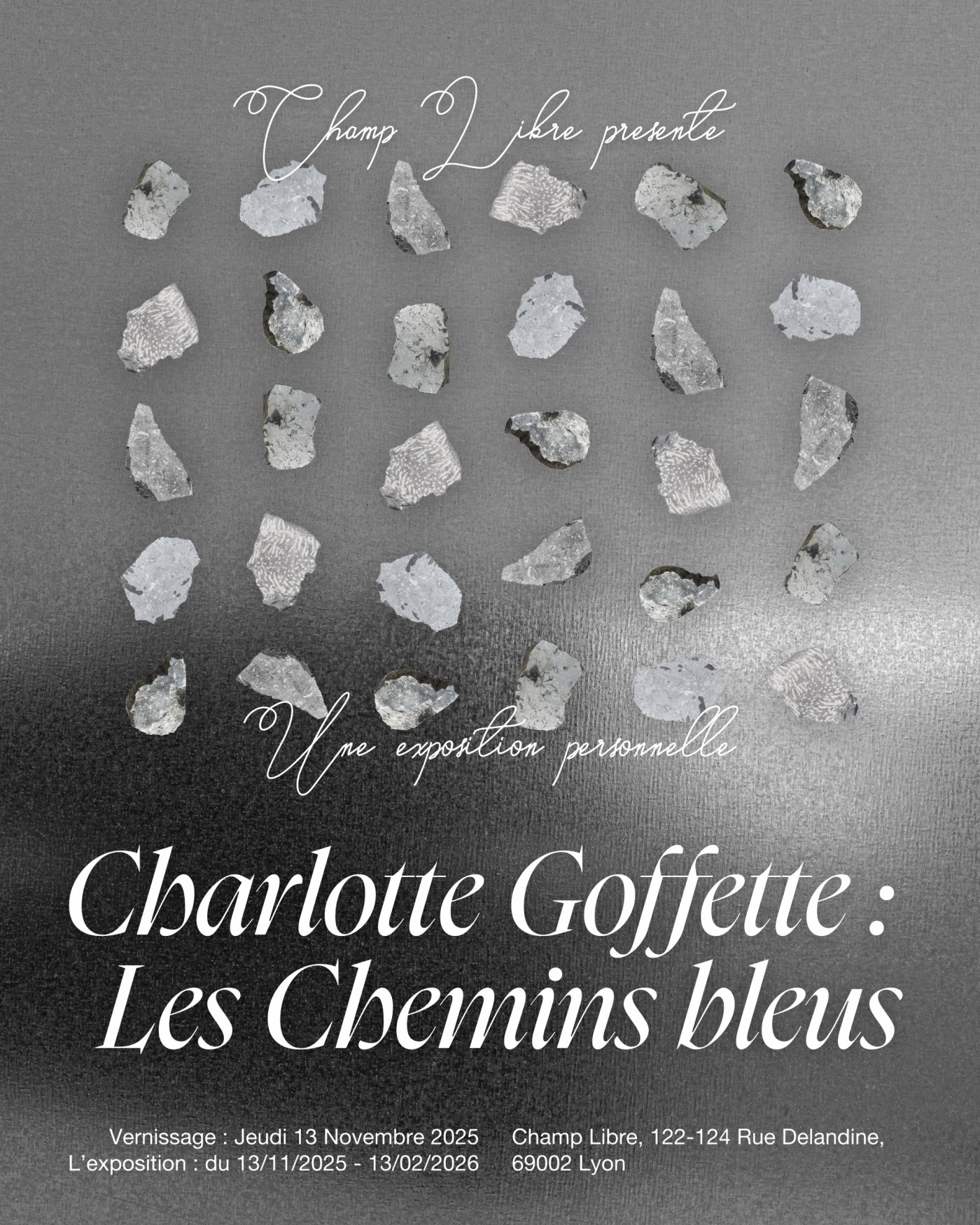 variation_6affiche_cheminsbleus_goffette.jpg