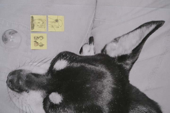 dscf4016.jpg