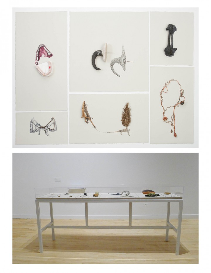 Objects and their Doubles, Alisha Wessler