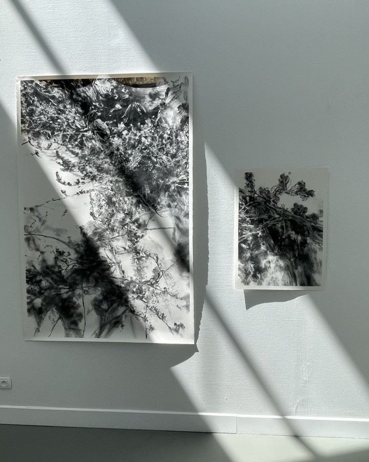 Vue exposition Bruissements
