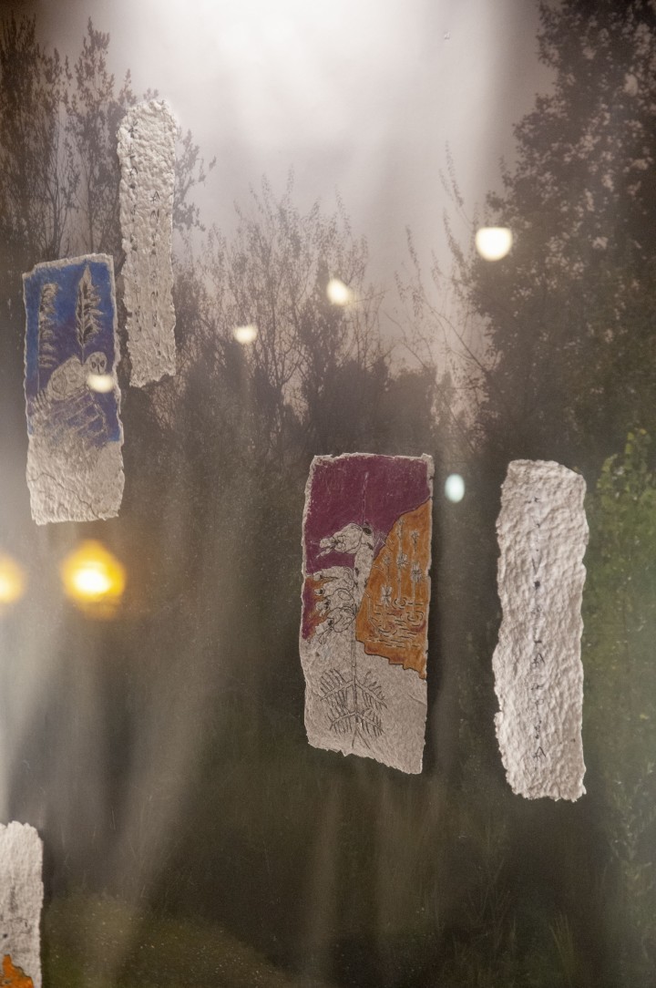 archive_curiositas8.jpg