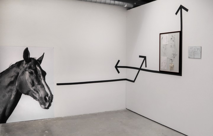 cheval1.jpg