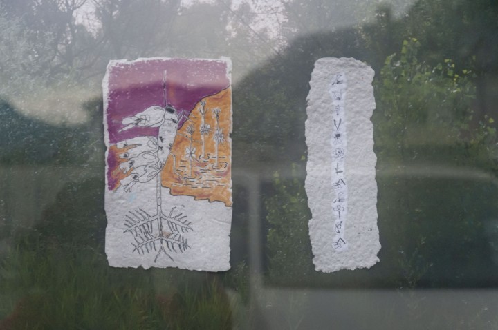 archive_curiositas2.jpg